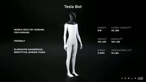 Tesla Bot.jpg